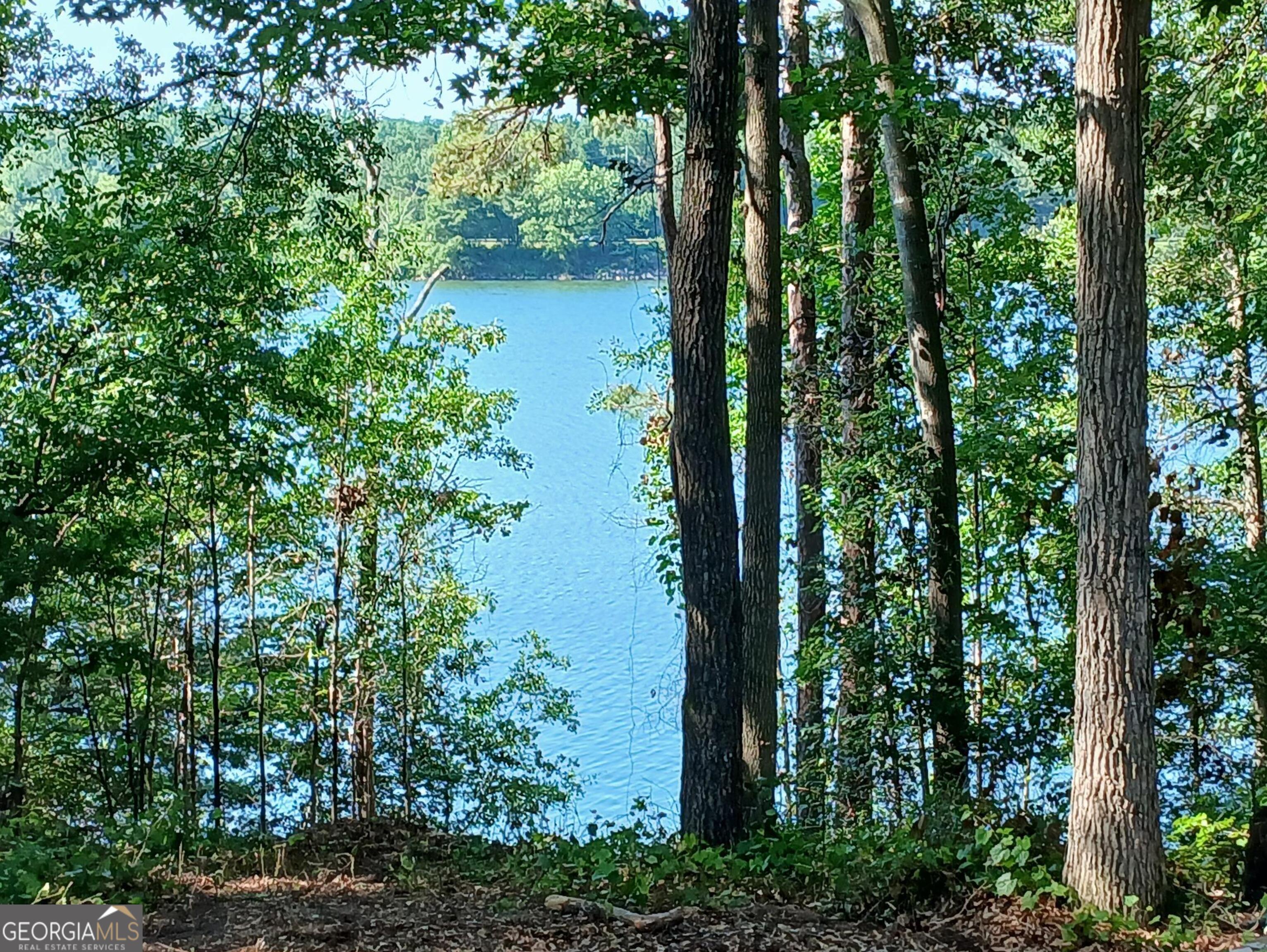 182 Cherry Rose Lane Hartwell, GA 30643 - Photo 58 of 64