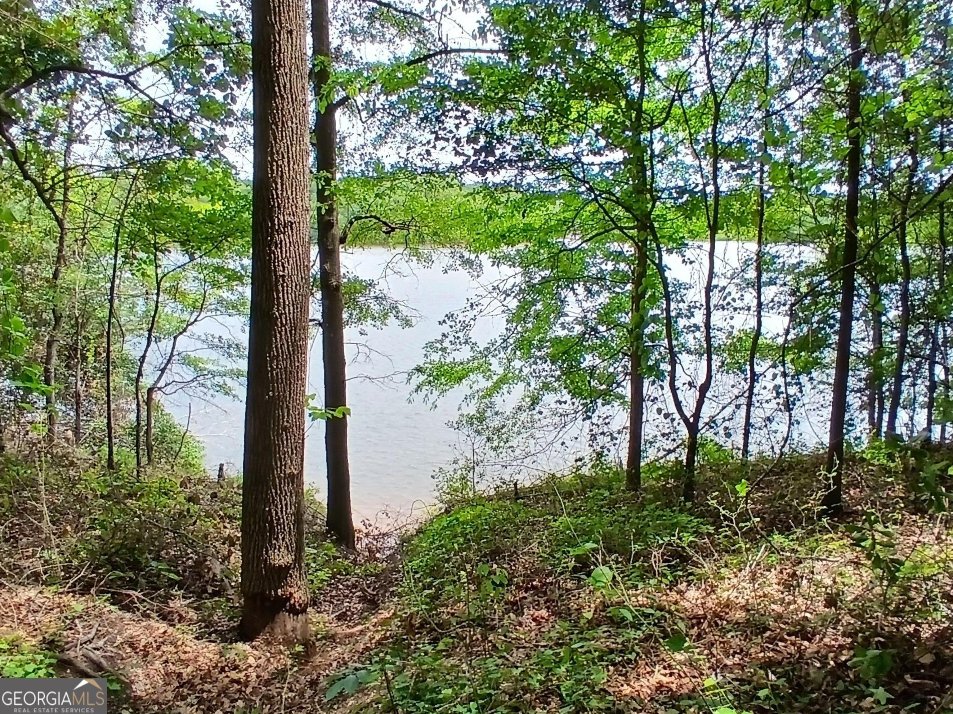 182 Cherry Rose Lane Hartwell, GA 30643 - Photo 61 of 64