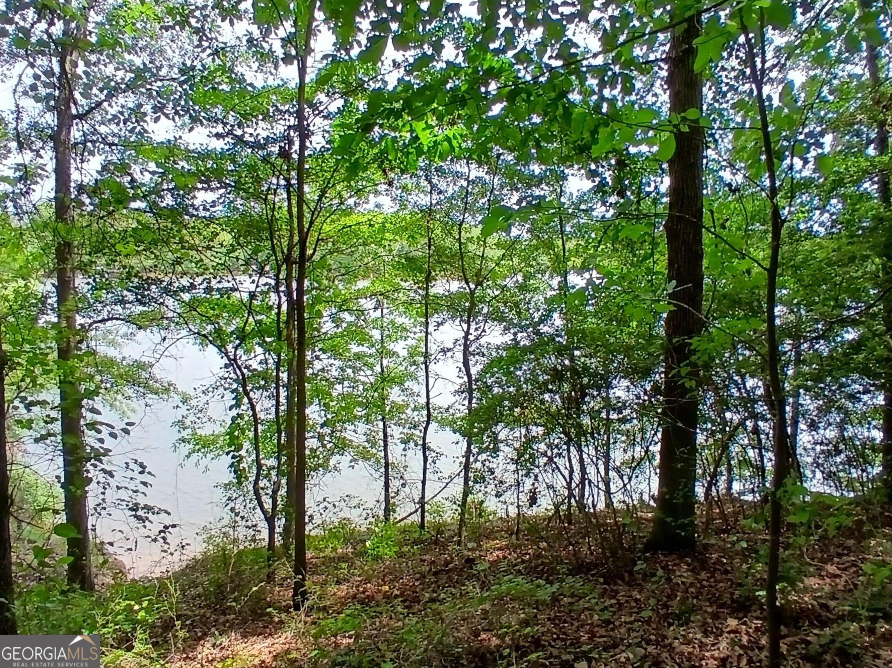 182 Cherry Rose Lane Hartwell, GA 30643 - Photo 62 of 64