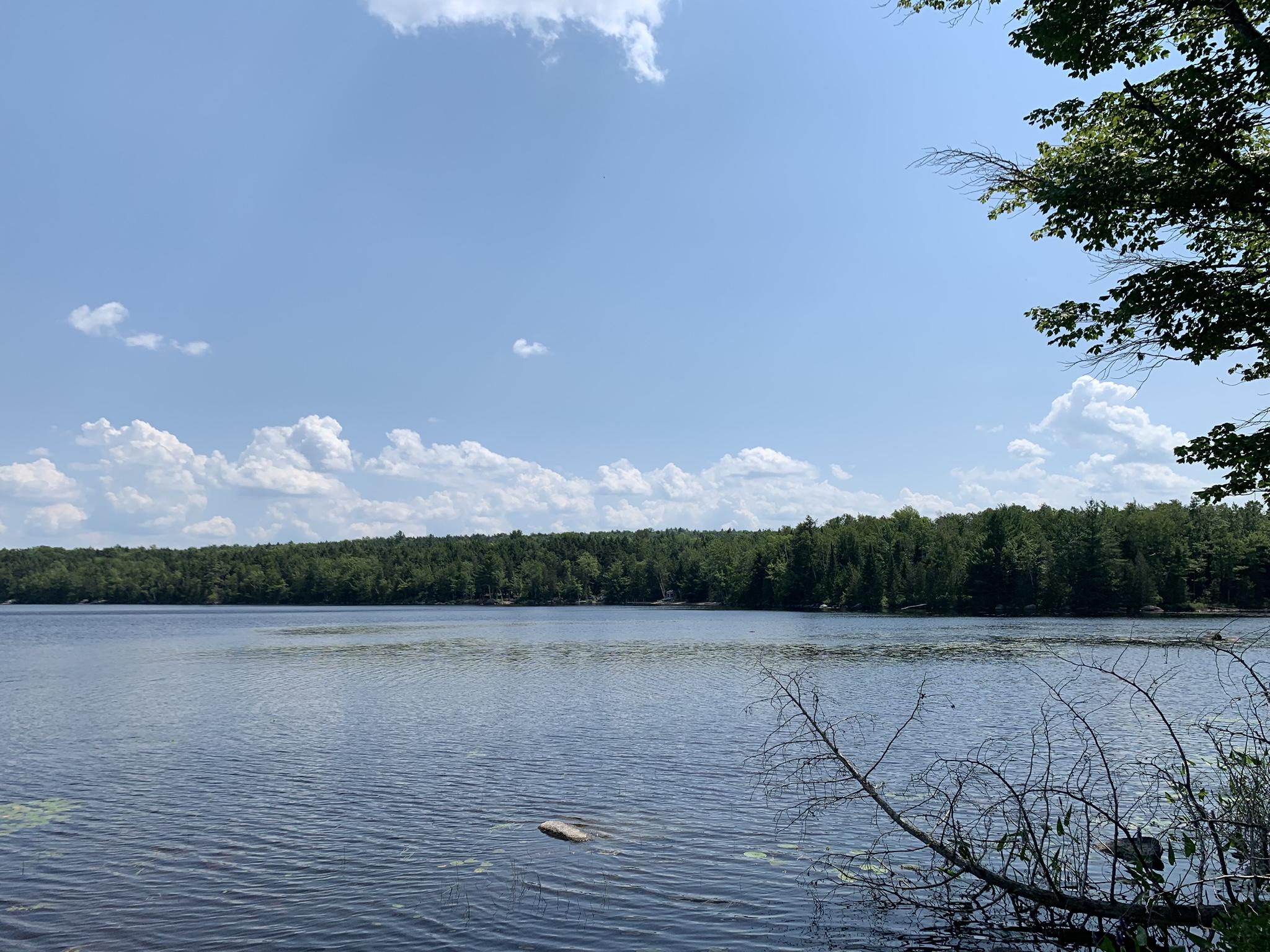 Lot 20 Madagascal Pond Road Burlington, ME 04417 - Photo 5 of 12 IMG_1981