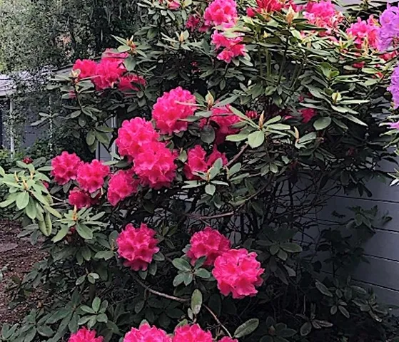 $1,999,000 | 25349 Flanders Drive, Carmel, CA 93923