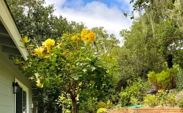 $1,999,000 | 25349 Flanders Drive, Carmel, CA 93923