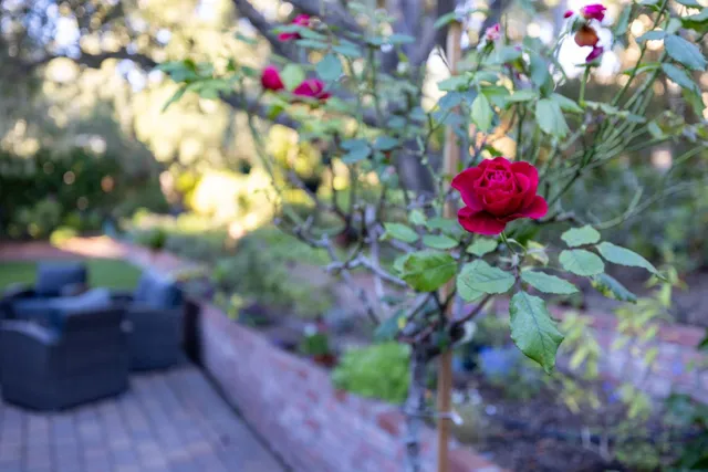 $1,999,000 | 25349 Flanders Drive, Carmel, CA 93923