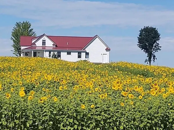 $343,900 | 4072 20 Mile Road, Marion, MI 49665