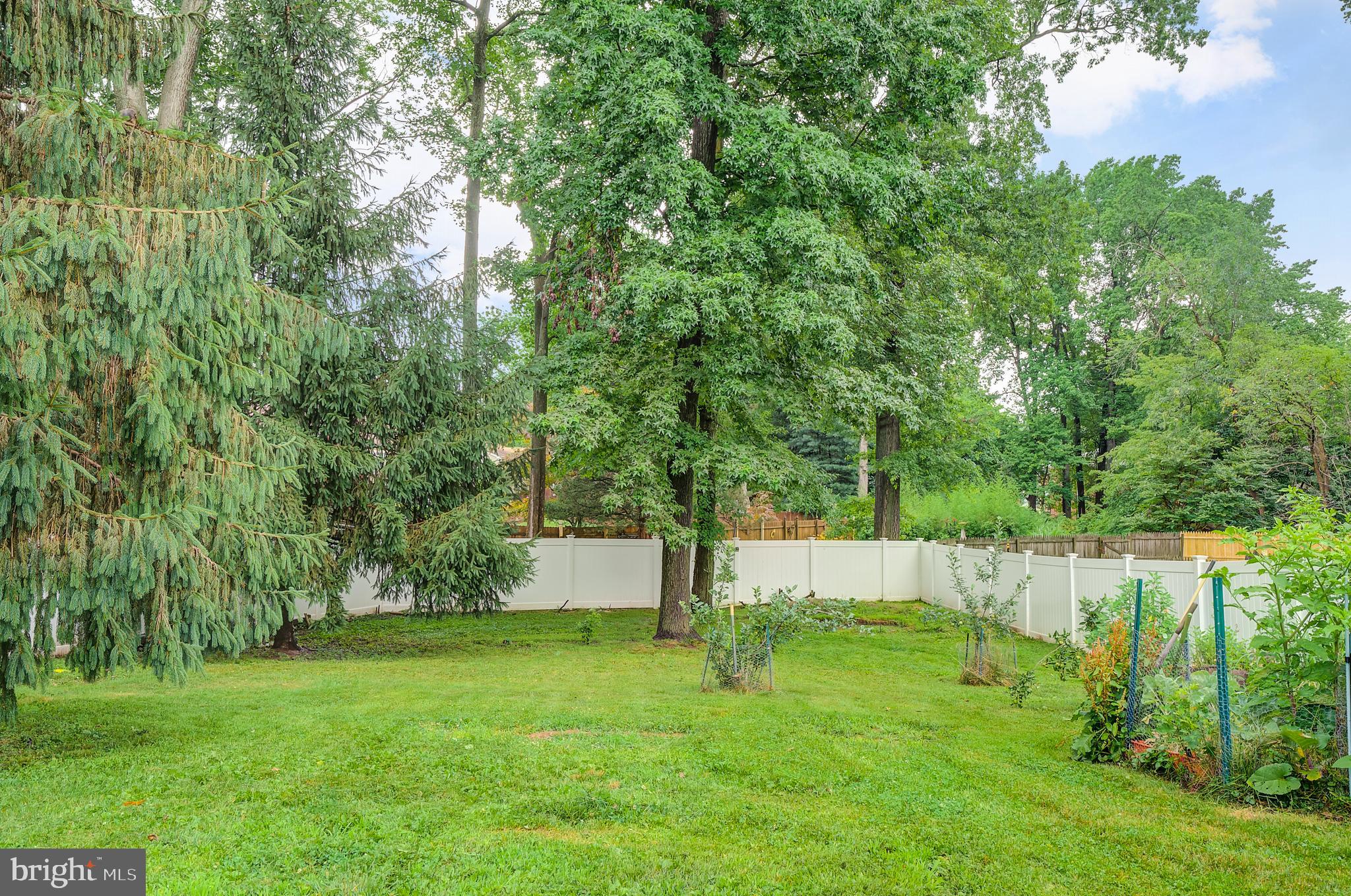 522 Sutherland Road Trenton, NJ 08618 - Photo 25 of 26 Backyard