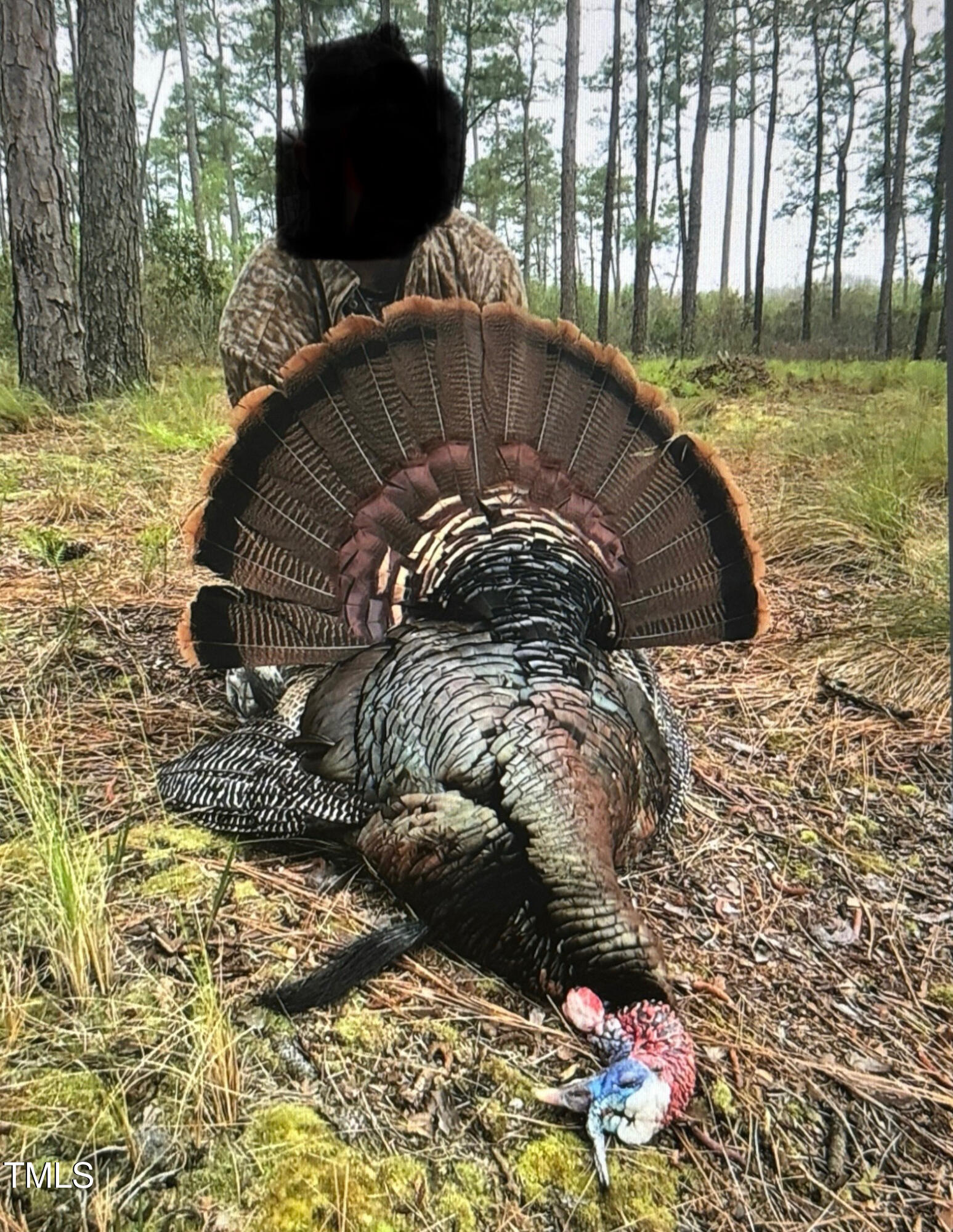 0 Richardson Road Warrenton, NC 27589 - Photo 12 of 21