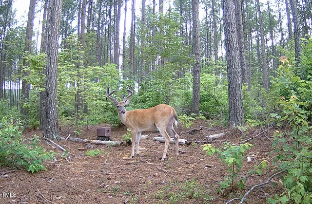 a garden view with sitting space