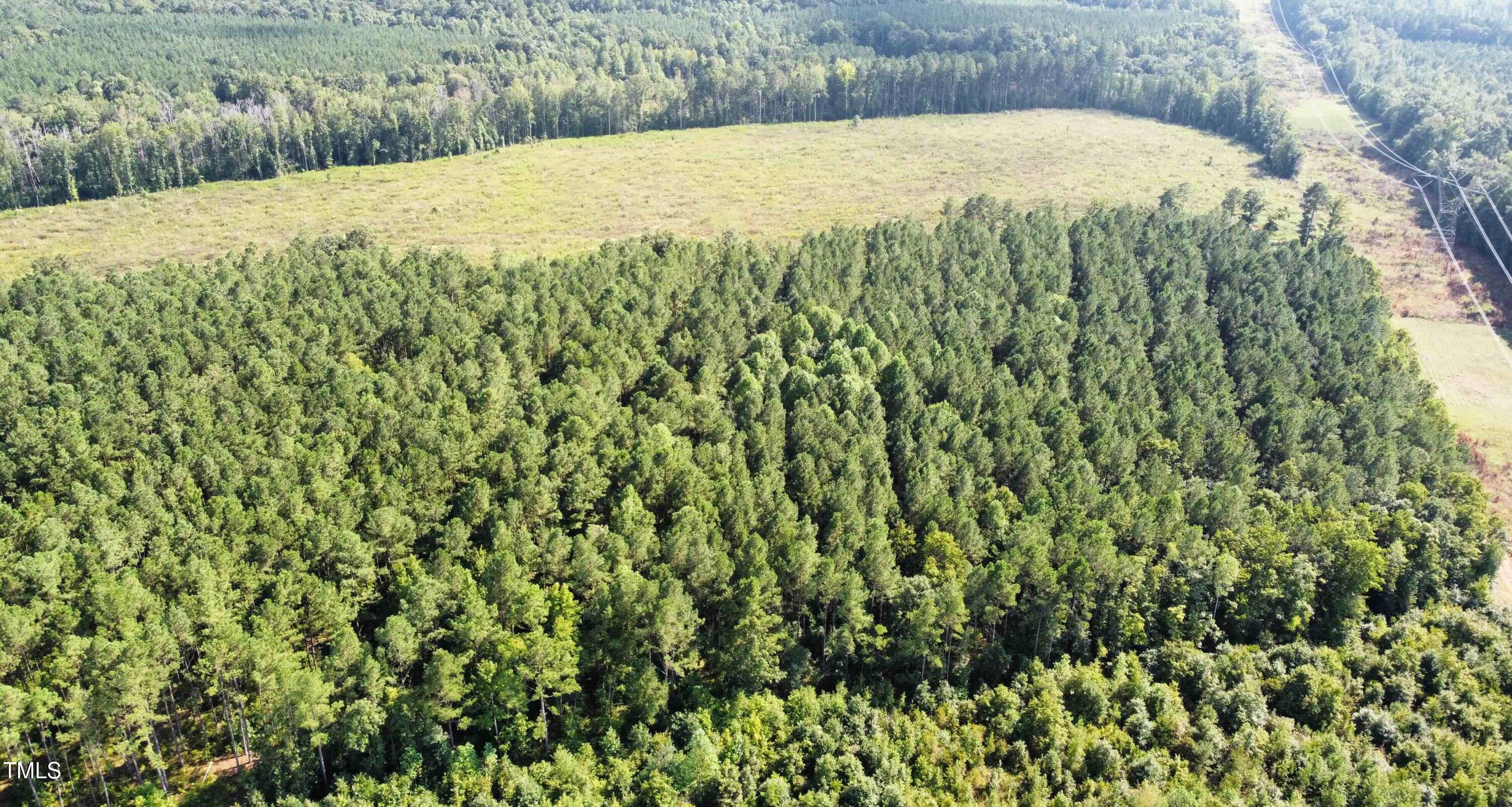 0 Richardson Road Warrenton, NC 27589 - Photo 18 of 21 a view of a yard