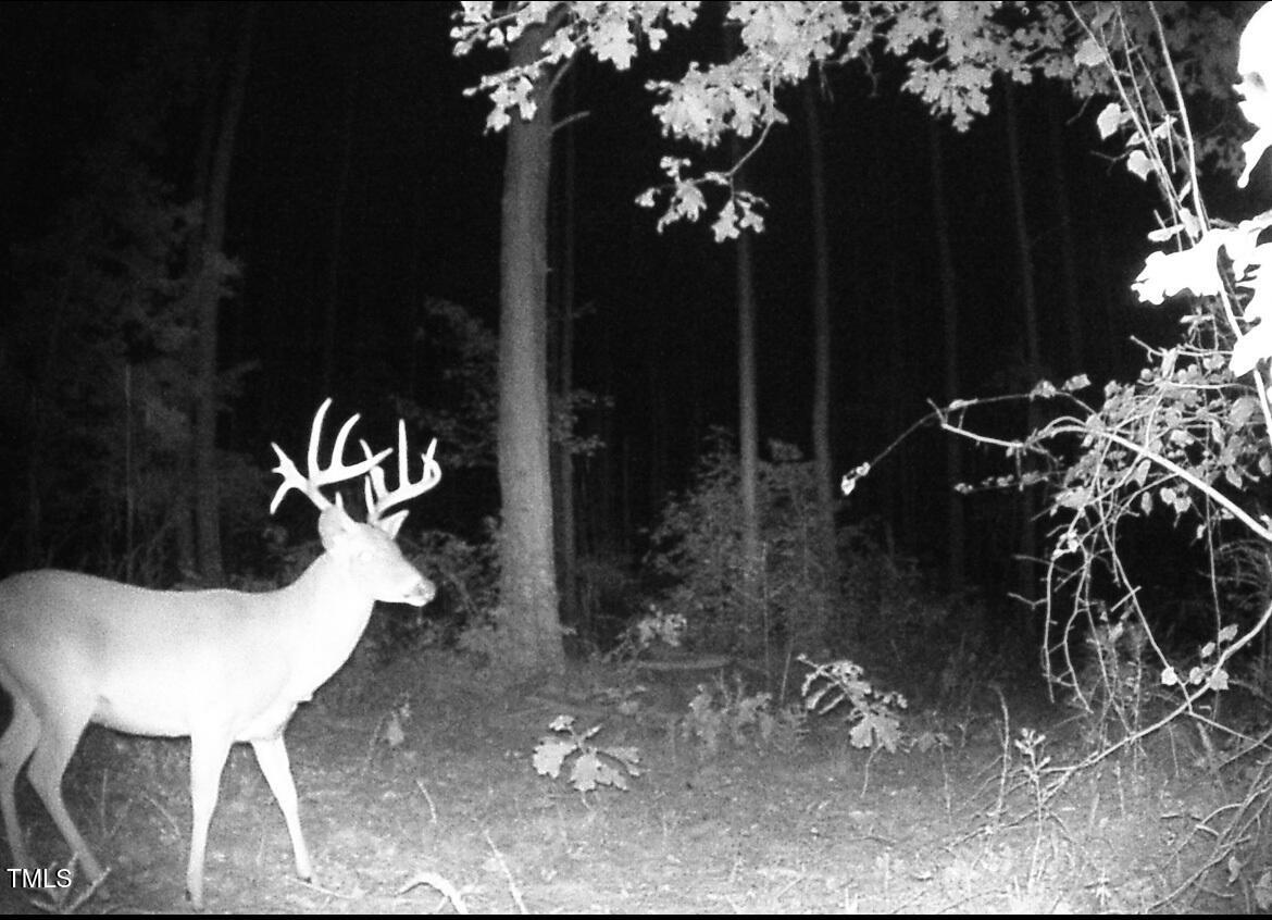 0 Richardson Road Warrenton, NC 27589 - Photo 19 of 21 a view of outdoor space