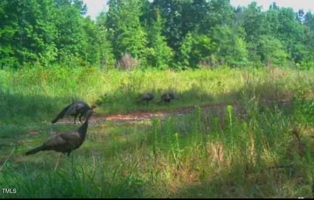 $274,900 | 0 Richardson Road, Warrenton, NC 27589