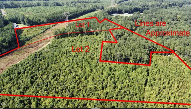 a view of small garden and flowers