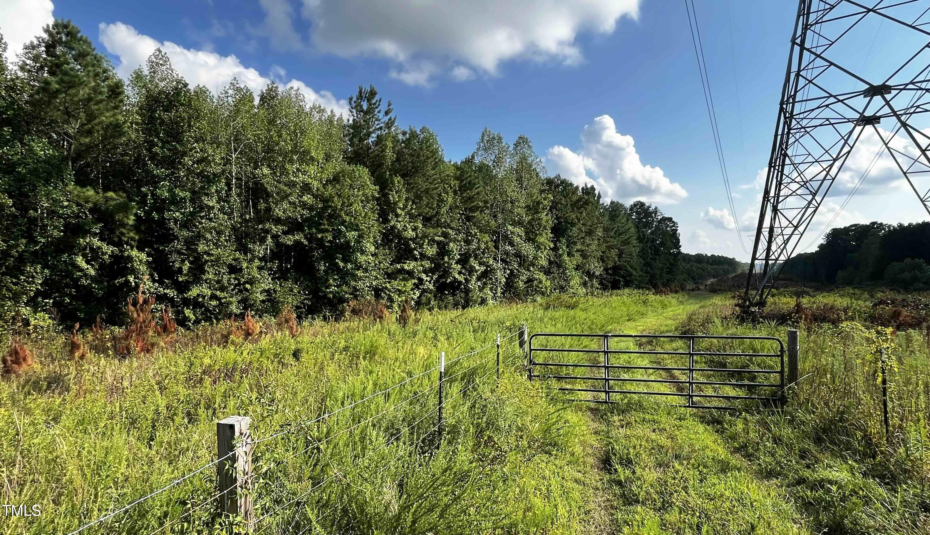 0 Richardson Road Warrenton, NC 27589 - Photo 9 of 21 a view of a garden