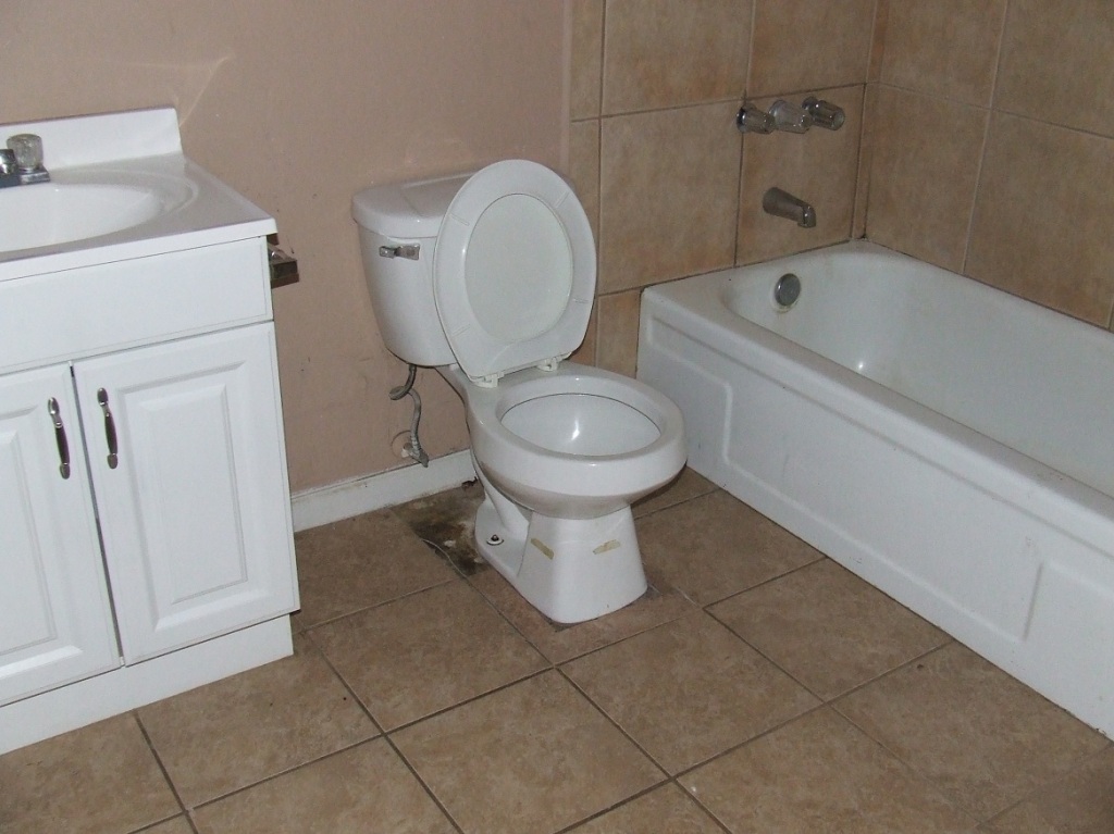 6501 West Granada Road Phoenix, AZ 85035 - Photo 4 of 9 BATHROOM