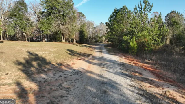 a view of backyard with green space