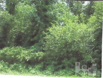 790 West Darden Road Clinton, NC 28328 - Photo 1 of 1 Primary Photo