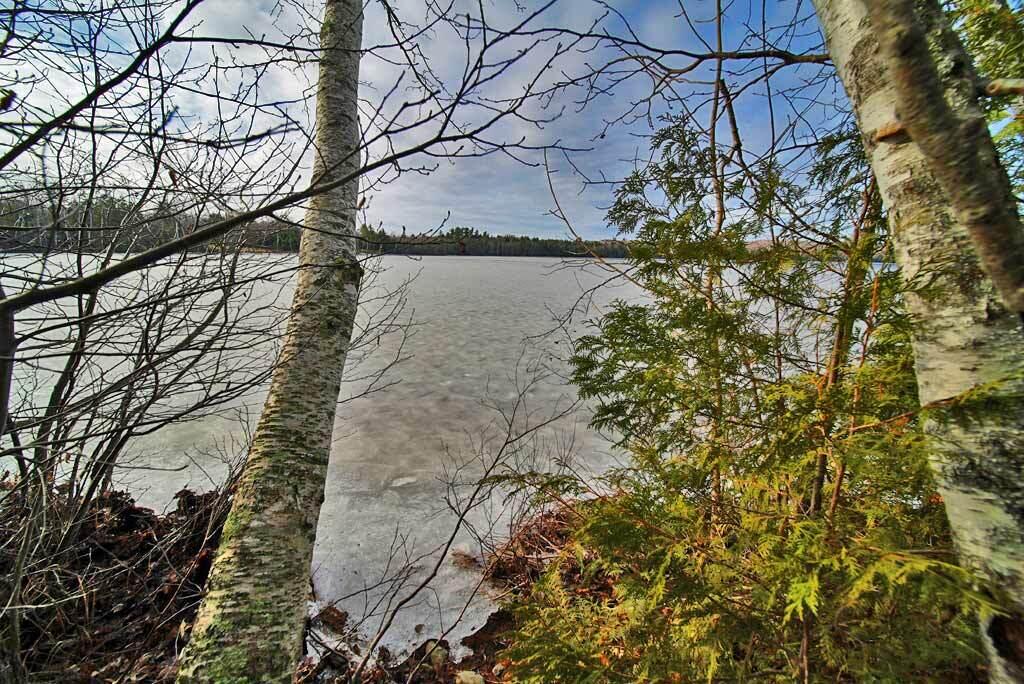 60-68 Lower Lake Road Danforth, ME 04424 - Photo 58 of 72 lake-property-shoreline