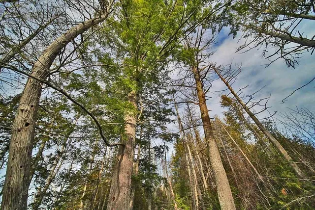 $189,500 | 60-68 Lower Lake Road, Danforth, ME 04424