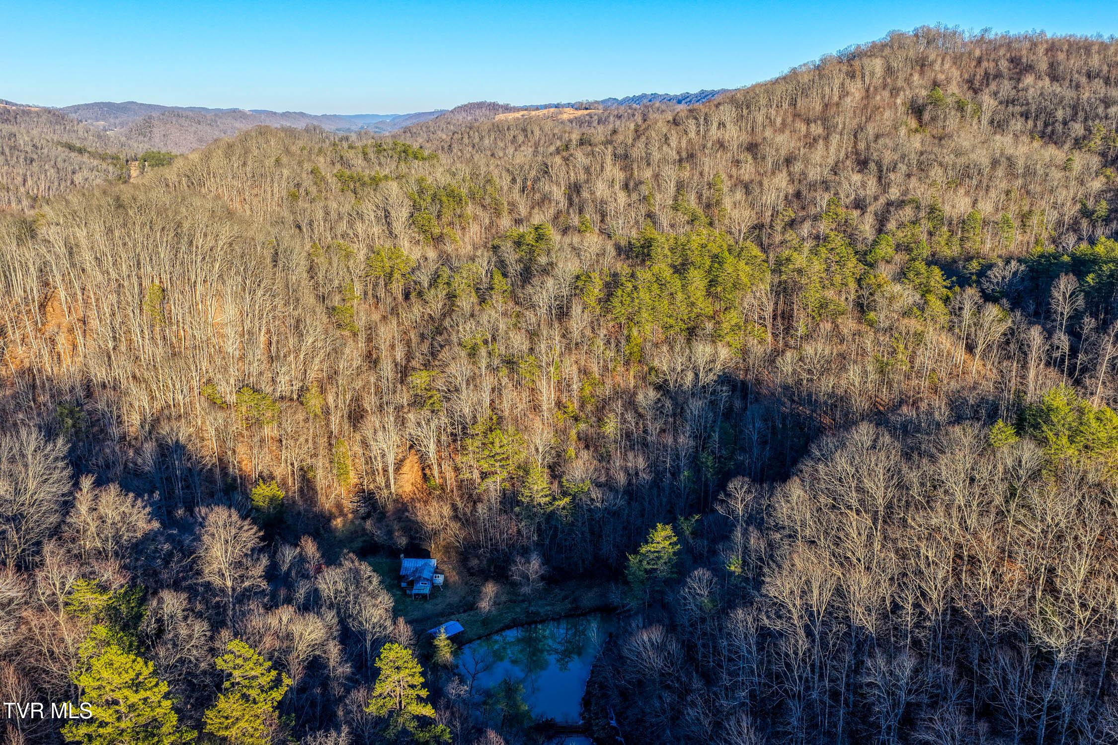 1028 East Pumpkin Valley Road Eidson, TN 37731 - Photo 18 of 37 E Pumpkin Valley MLSb (12 of 31)