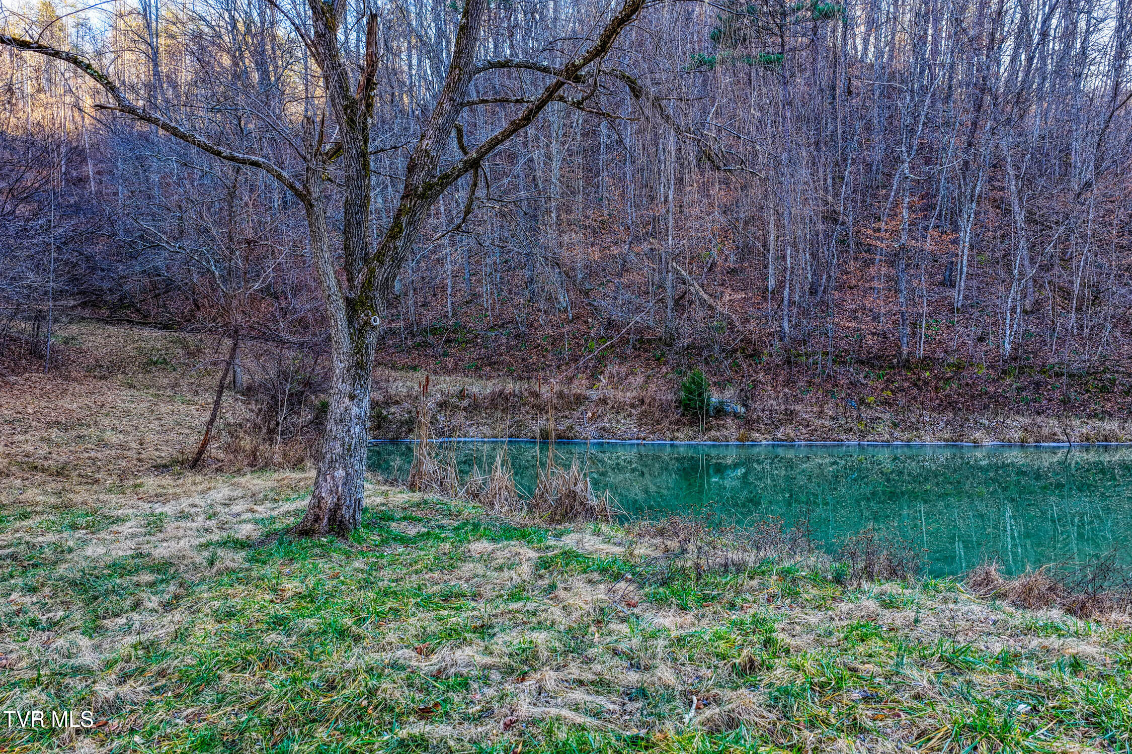 1028 East Pumpkin Valley Road Eidson, TN 37731 - Photo 19 of 37 E Pumpkin Valley MLSb (13 of 31)