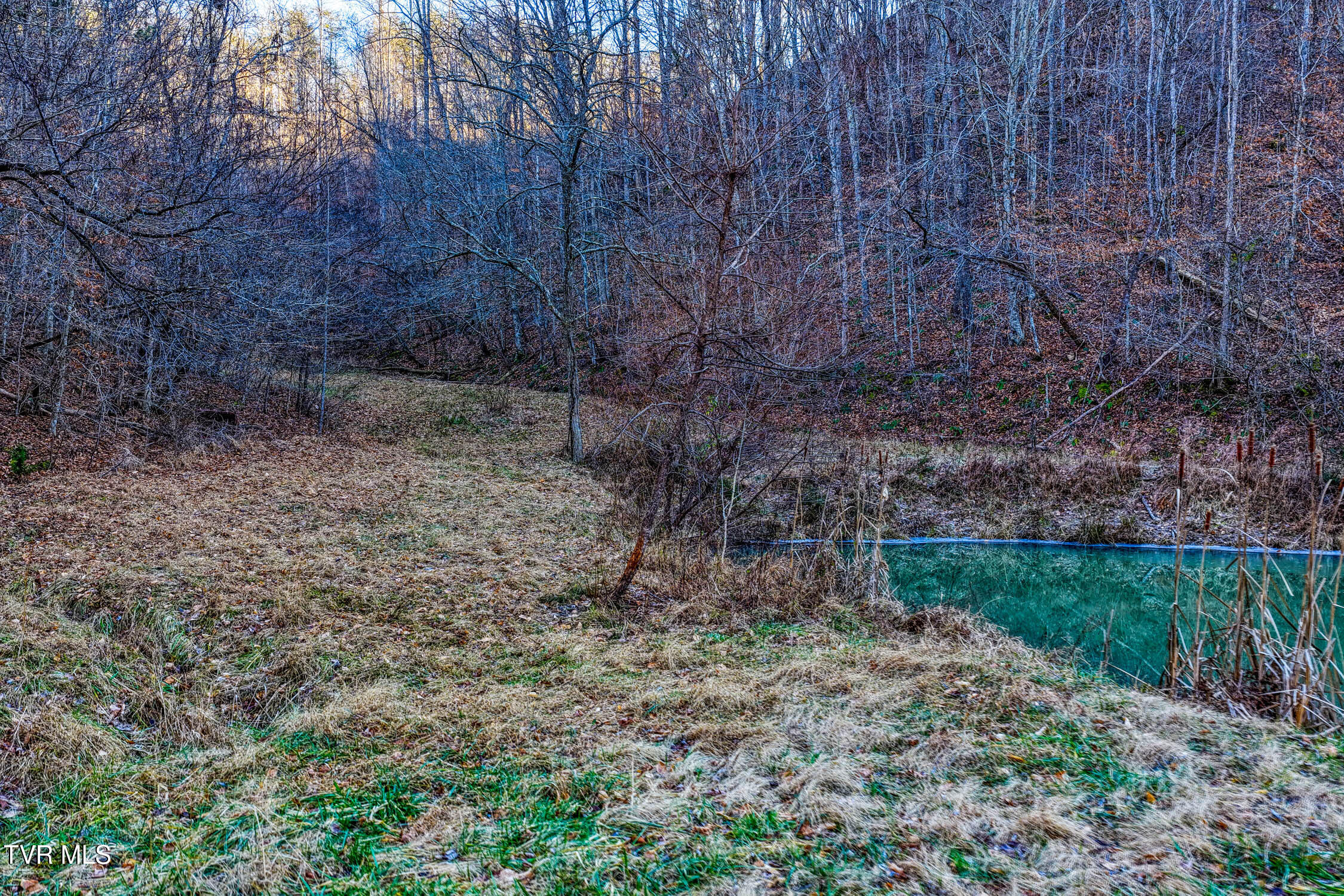 1028 East Pumpkin Valley Road Eidson, TN 37731 - Photo 20 of 37 E Pumpkin Valley MLSb (14 of 31)