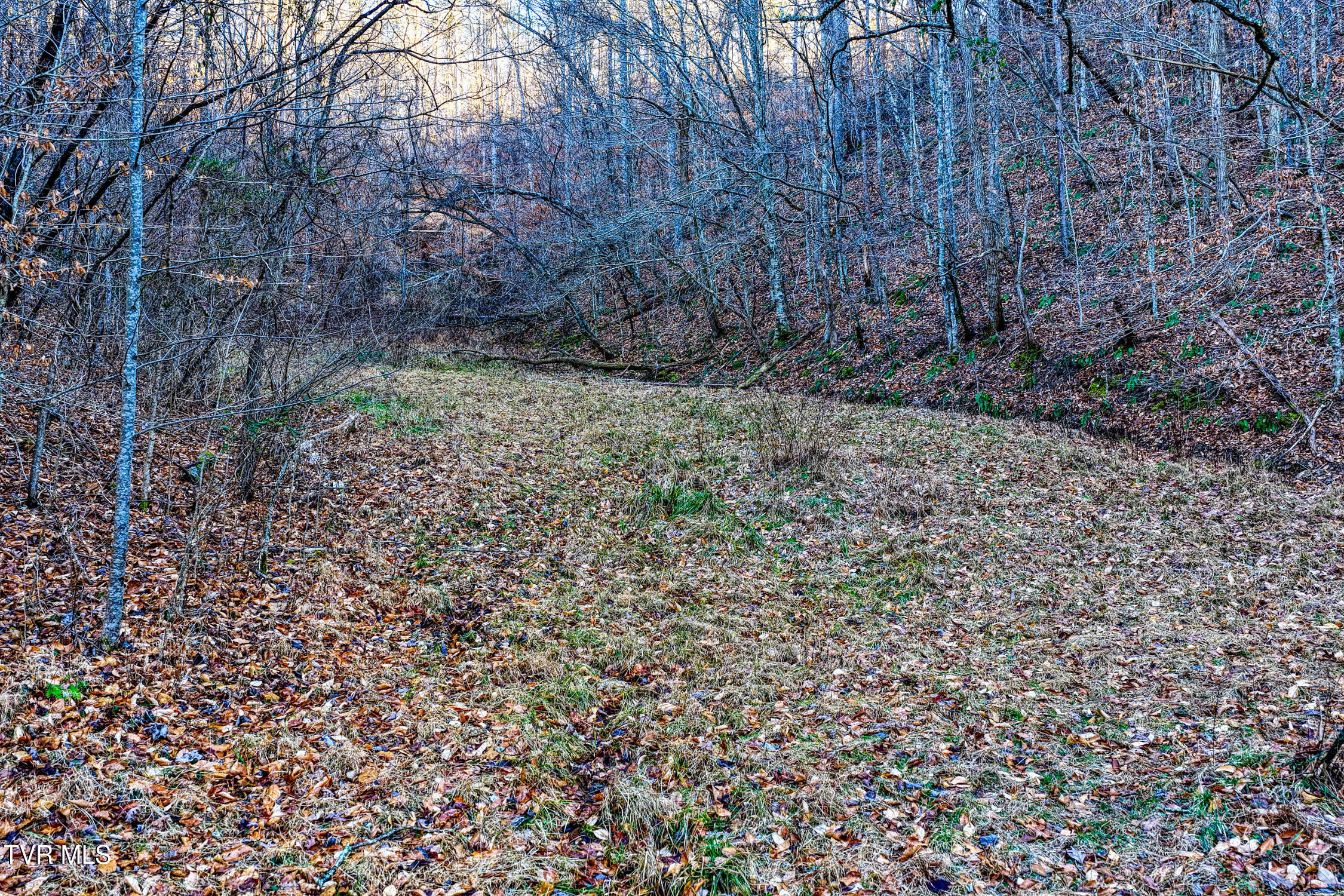 1028 East Pumpkin Valley Road Eidson, TN 37731 - Photo 21 of 37 E Pumpkin Valley MLSb (15 of 31)