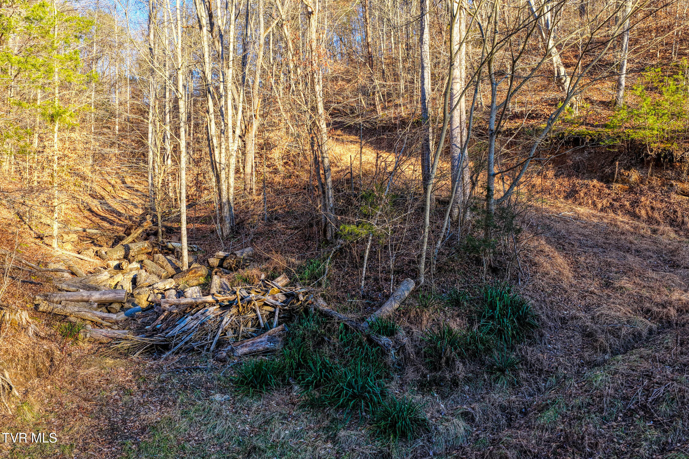 1028 East Pumpkin Valley Road Eidson, TN 37731 - Photo 25 of 37 E Pumpkin Valley MLSb (19 of 31)