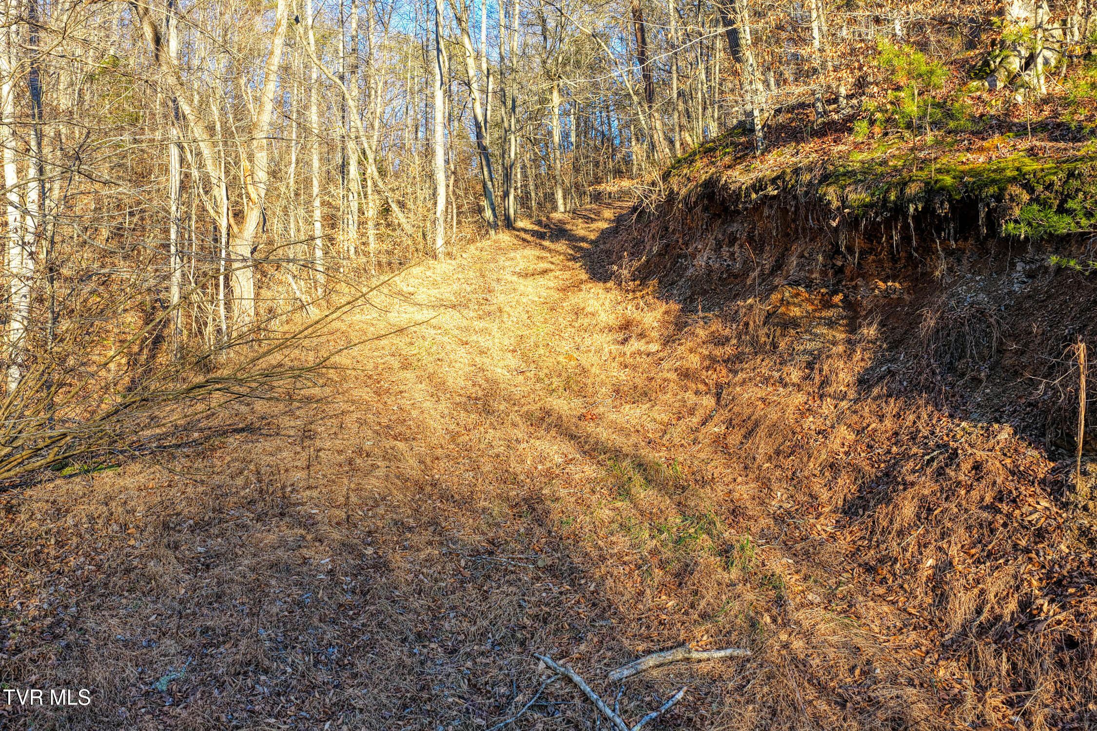 1028 East Pumpkin Valley Road Eidson, TN 37731 - Photo 26 of 37 E Pumpkin Valley MLSb (20 of 31)