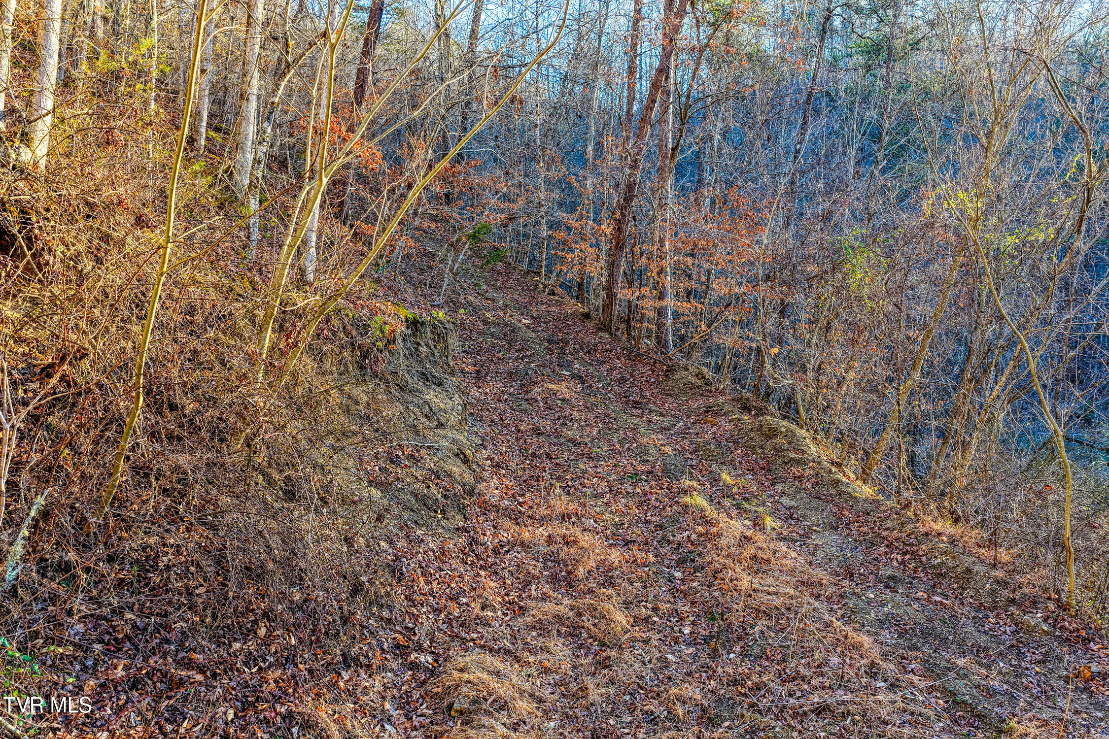 1028 East Pumpkin Valley Road Eidson, TN 37731 - Photo 27 of 37 E Pumpkin Valley MLSb (21 of 31)