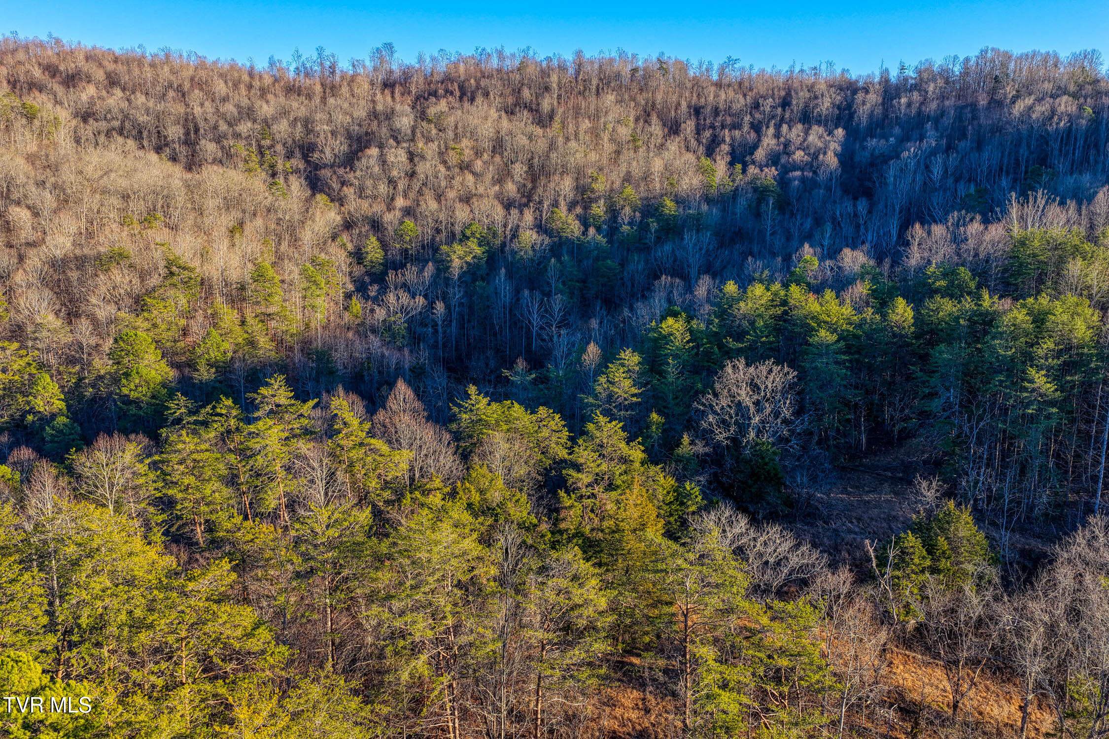 1028 East Pumpkin Valley Road Eidson, TN 37731 - Photo 29 of 37 E Pumpkin Valley MLSb (23 of 31)