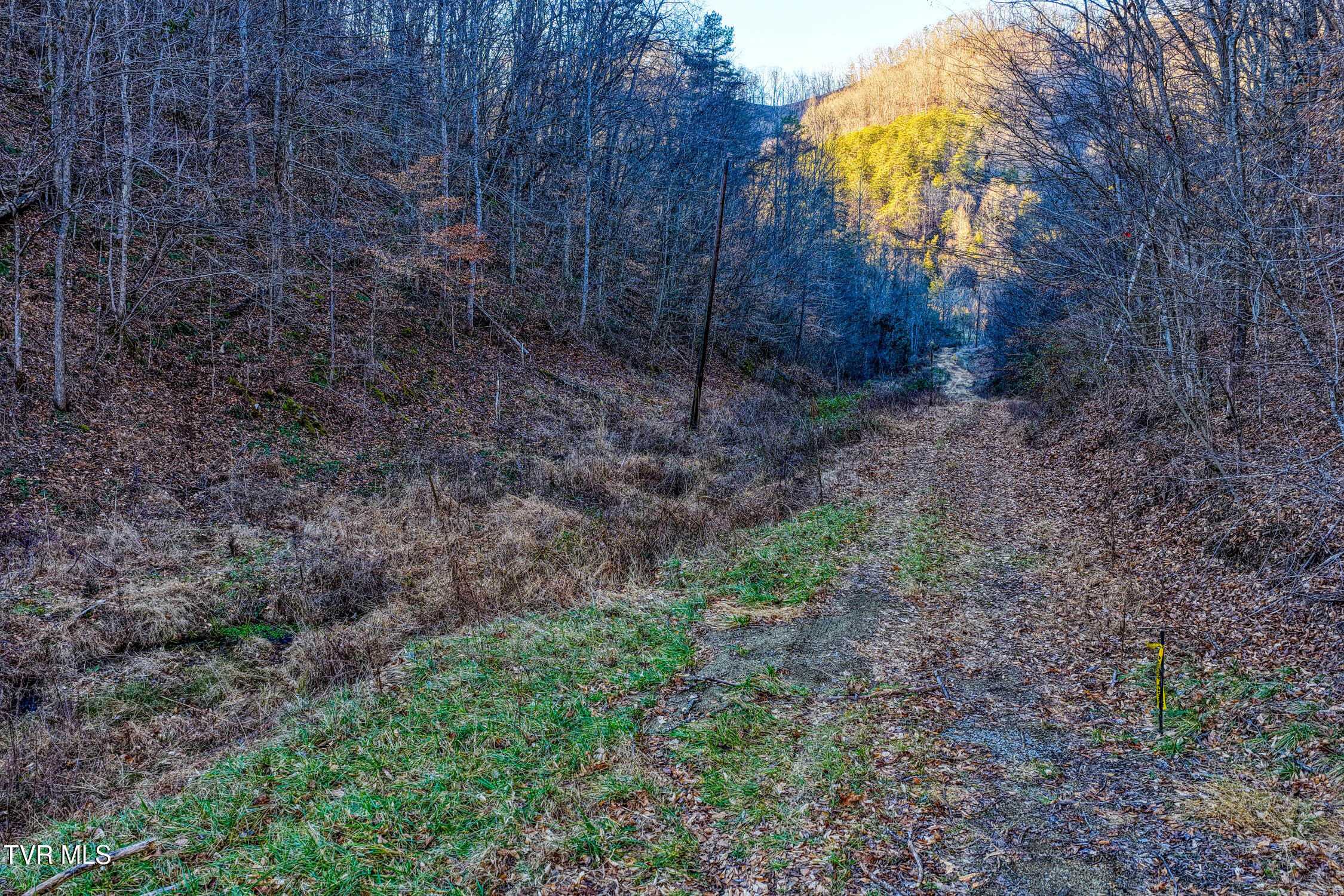 1028 East Pumpkin Valley Road Eidson, TN 37731 - Photo 32 of 37 E Pumpkin Valley MLSb (26 of 31)