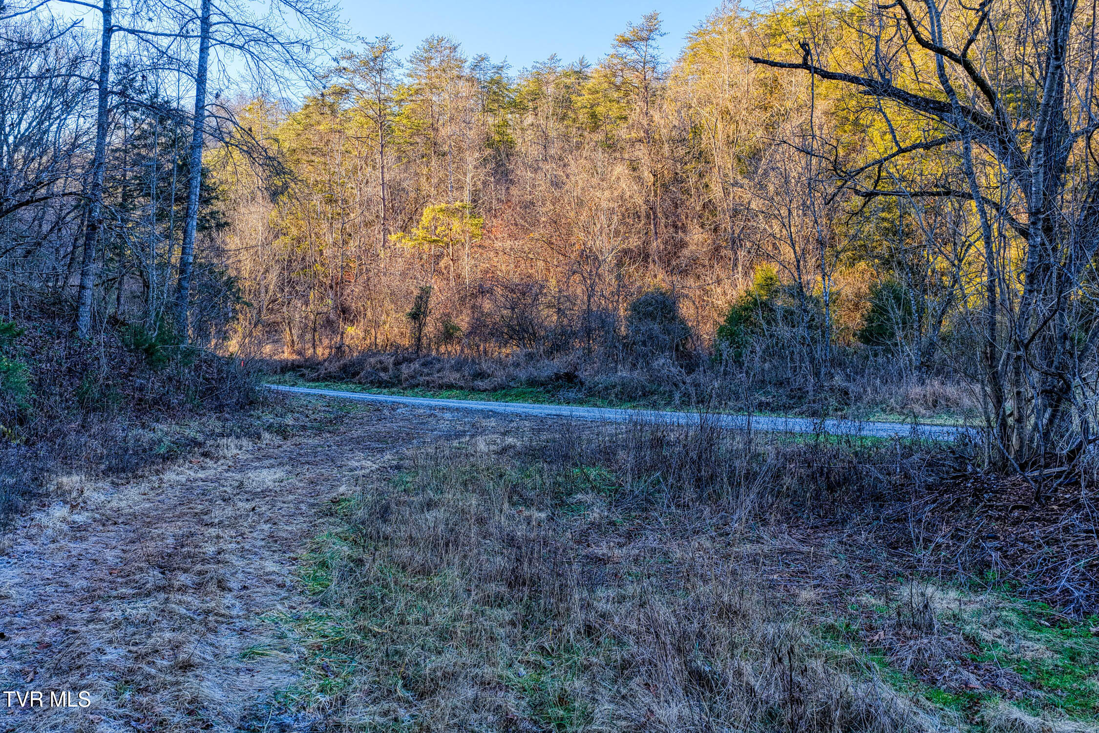 1028 East Pumpkin Valley Road Eidson, TN 37731 - Photo 34 of 37 E Pumpkin Valley MLSb (28 of 31)