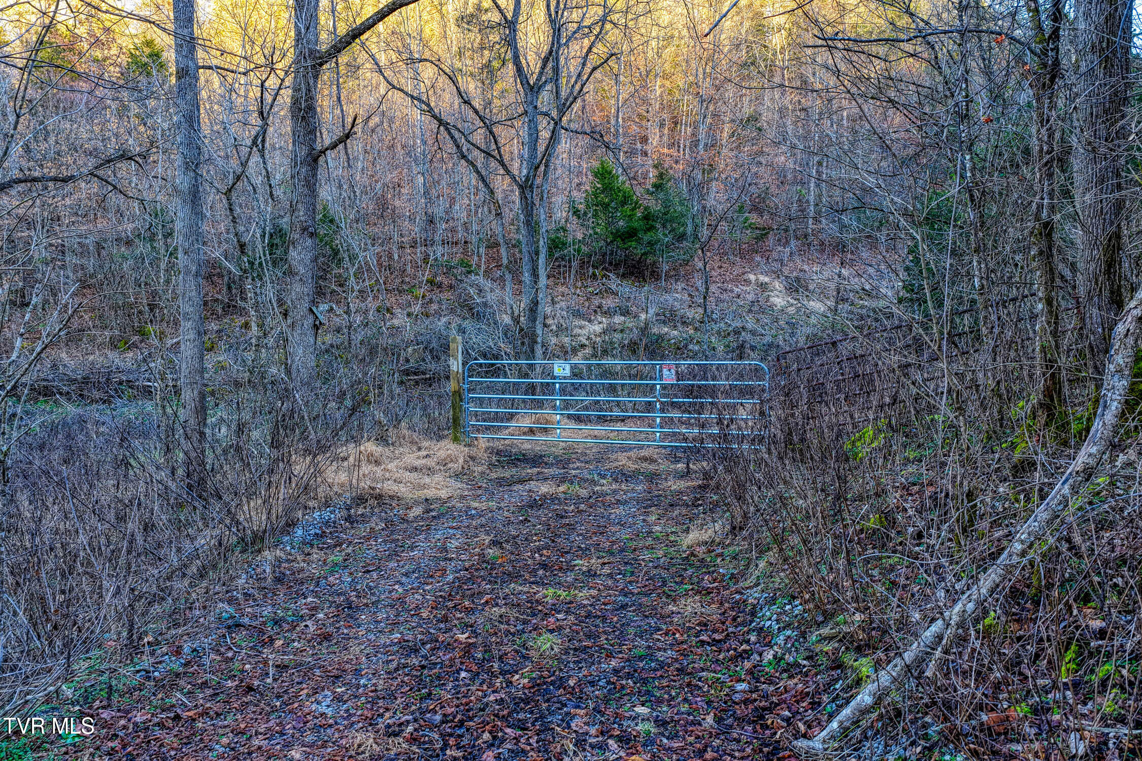 1028 East Pumpkin Valley Road Eidson, TN 37731 - Photo 35 of 37 E Pumpkin Valley MLSb (29 of 31)