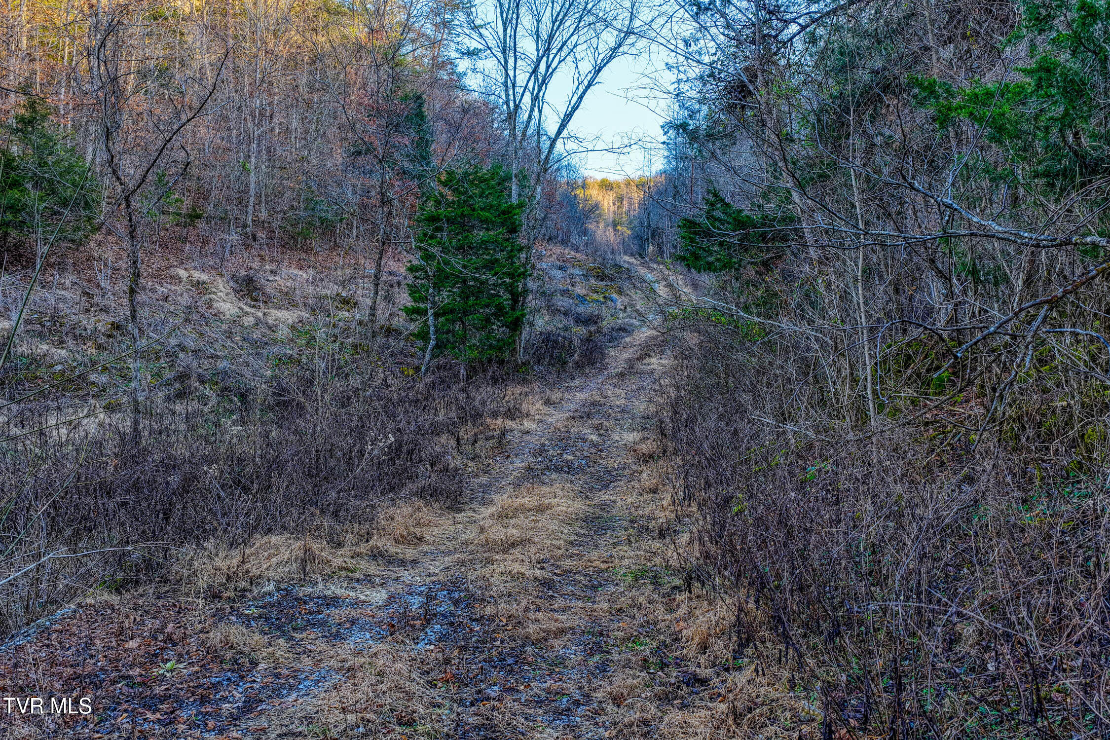 1028 East Pumpkin Valley Road Eidson, TN 37731 - Photo 37 of 37 E Pumpkin Valley MLSb (31 of 31)
