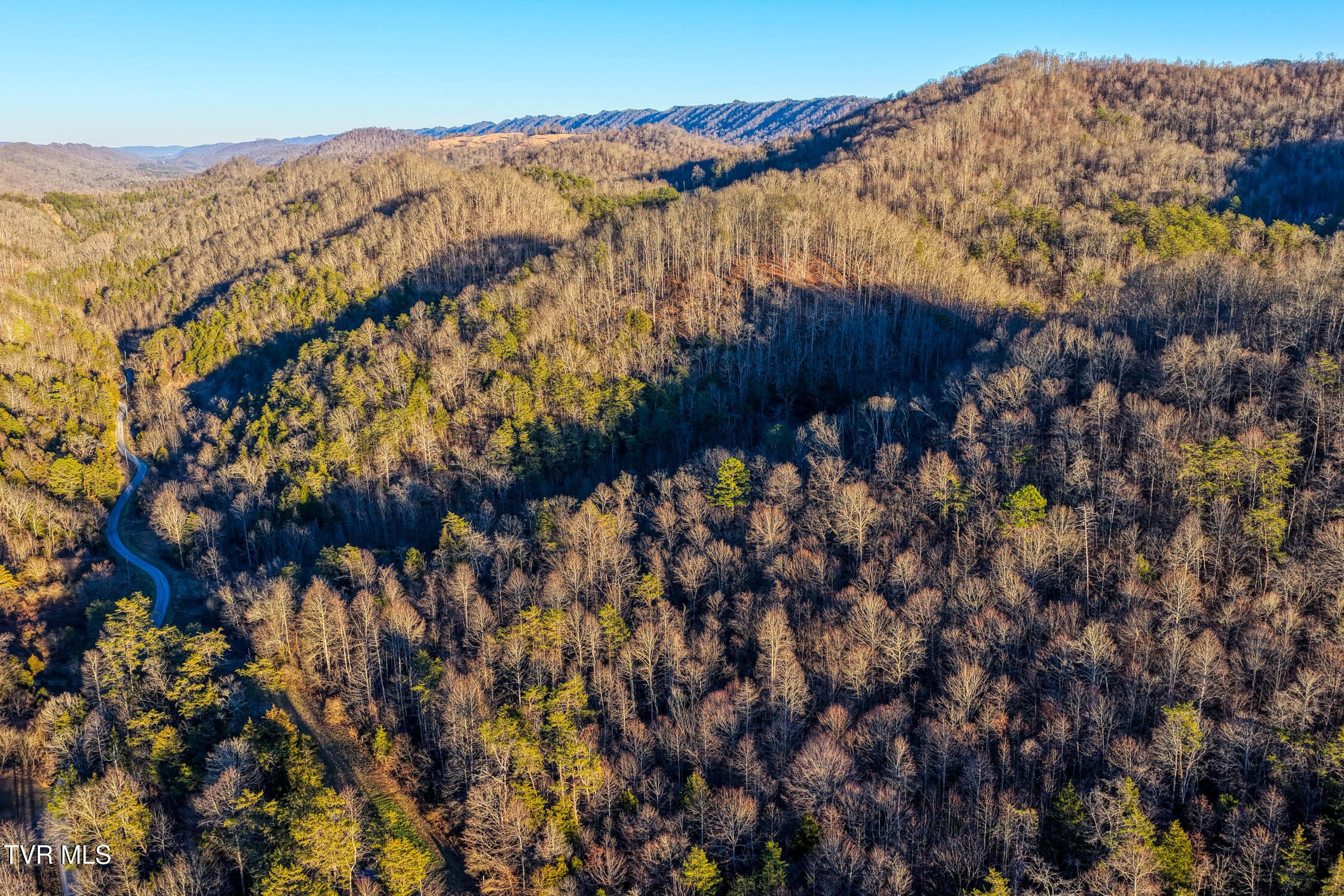 1028 East Pumpkin Valley Road Eidson, TN 37731 - Photo 4 of 37 E Pumpkin Valley MLSa (4 of 6)
