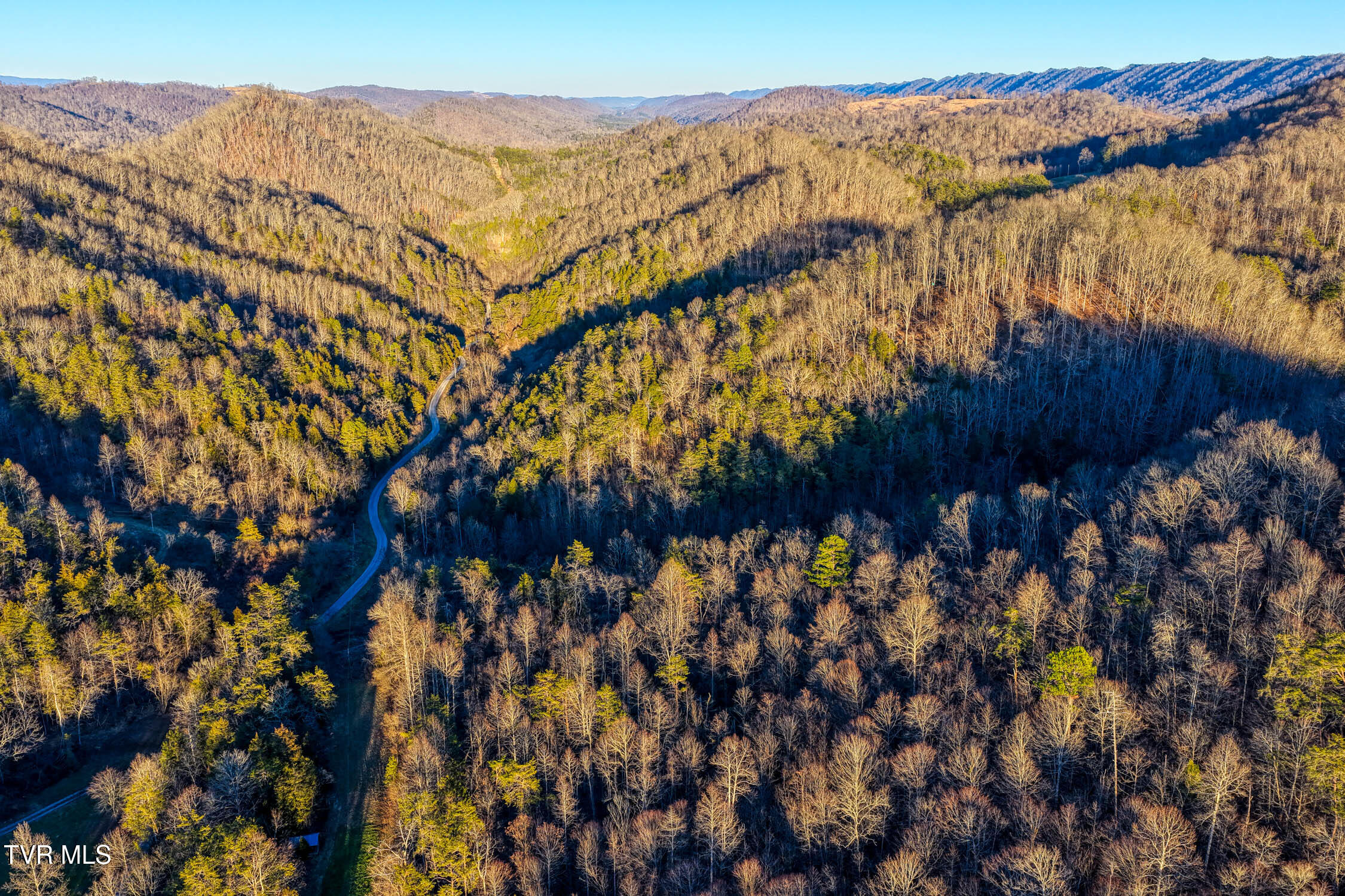 1028 East Pumpkin Valley Road Eidson, TN 37731 - Photo 6 of 37 E Pumpkin Valley MLSa (6 of 6)