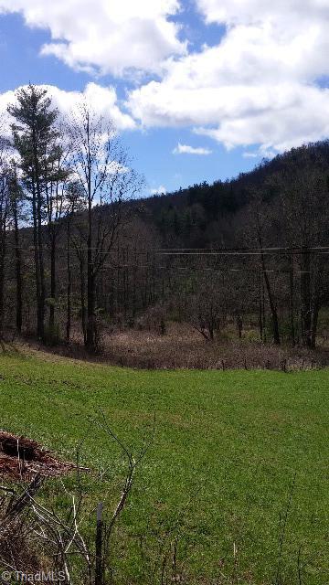 6500 Big Ivy Road Purlear, NC 28665 - Photo 2 of 16 Begins at the fence