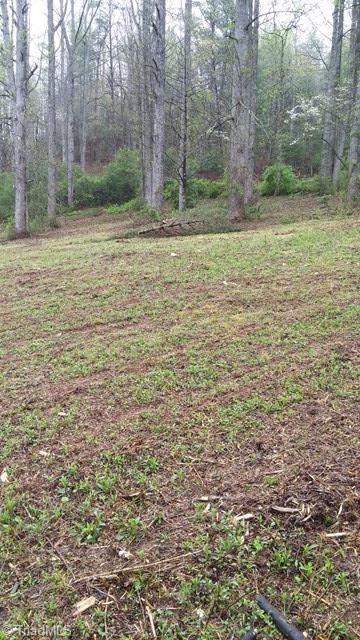 6500 Big Ivy Road Purlear, NC 28665 - Photo 12 of 16