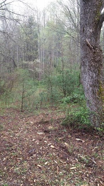 6500 Big Ivy Road Purlear, NC 28665 - Photo 14 of 16