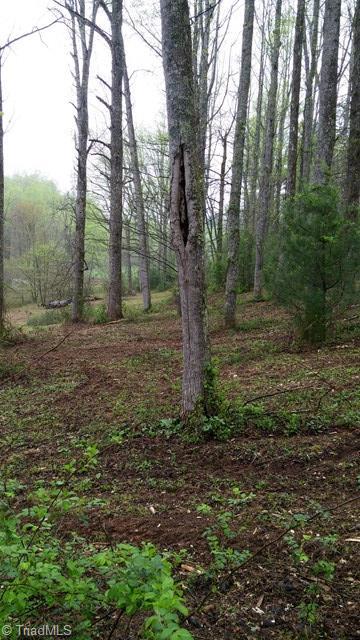 6500 Big Ivy Road Purlear, NC 28665 - Photo 15 of 16