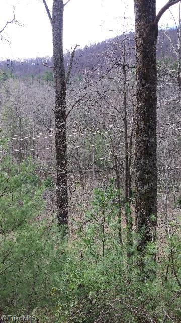 6500 Big Ivy Road Purlear, NC 28665 - Photo 3 of 16