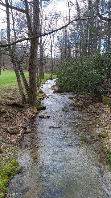 6500 Big Ivy Road Purlear, NC 28665 - Photo 6 of 16 Lewis Fork Creek