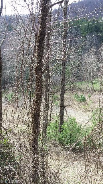 6500 Big Ivy Road Purlear, NC 28665 - Photo 7 of 16 Old pasture