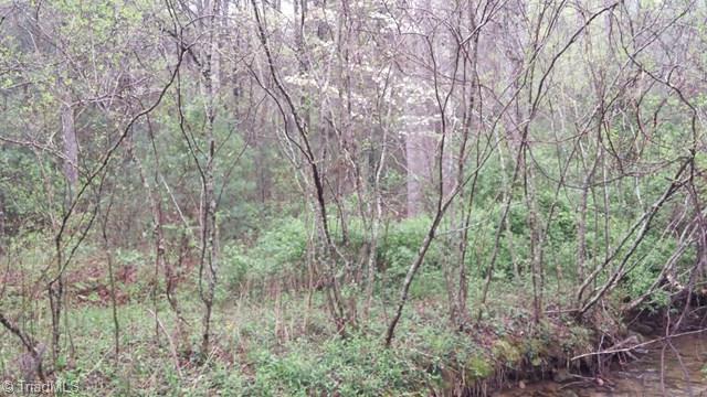 6500 Big Ivy Road Purlear, NC 28665 - Photo 10 of 16