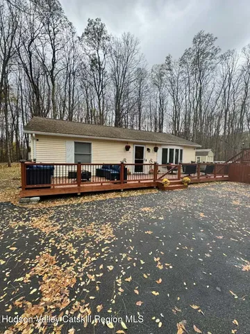 a view of a park that has a large tree