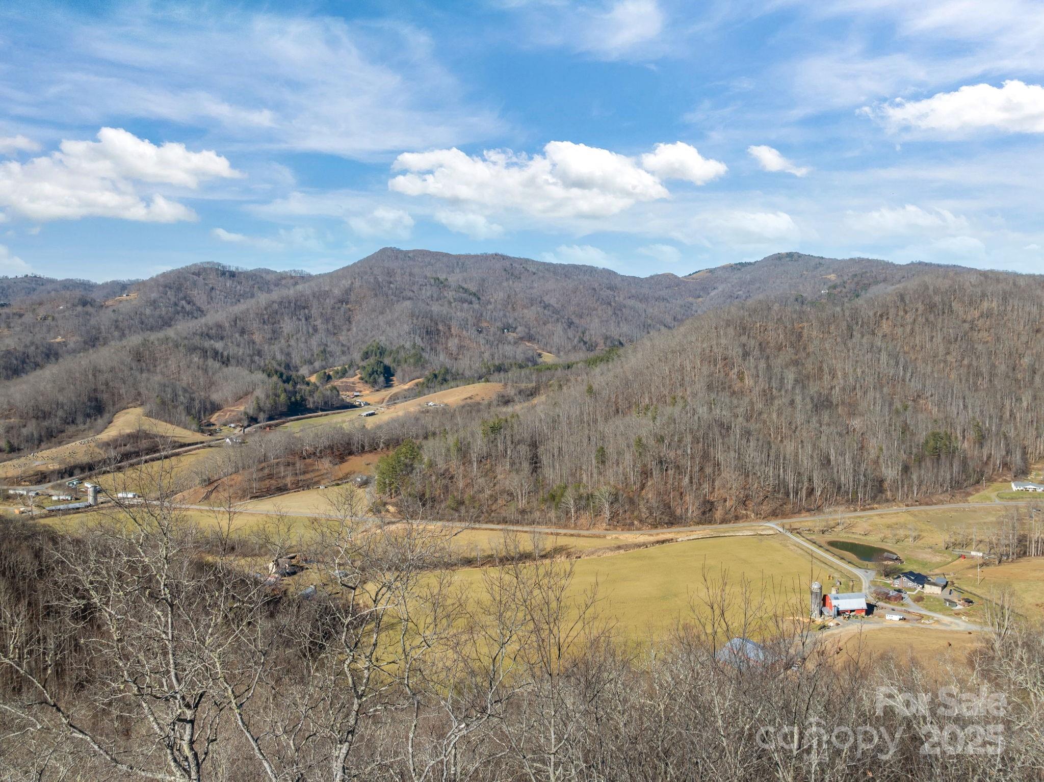 0 Wayward Cove Clyde, NC 28721 - Photo 11 of 18 a view of a yard with an umbrella
