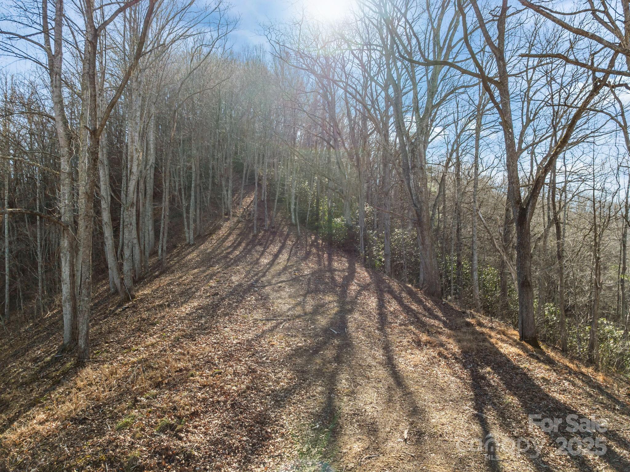 0 Wayward Cove Clyde, NC 28721 - Photo 13 of 18