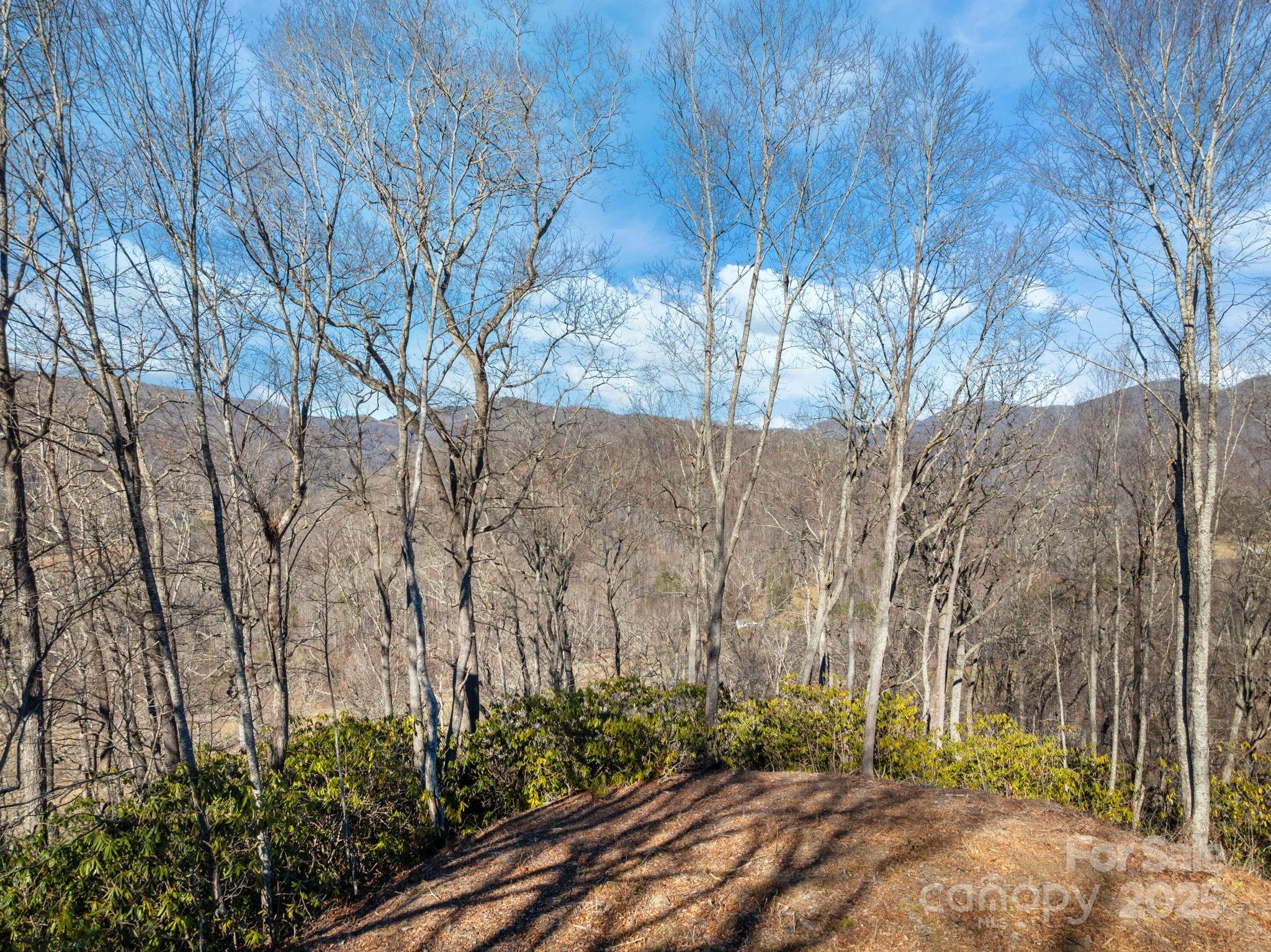 0 Wayward Cove Clyde, NC 28721 - Photo 14 of 18 a backyard of a house
