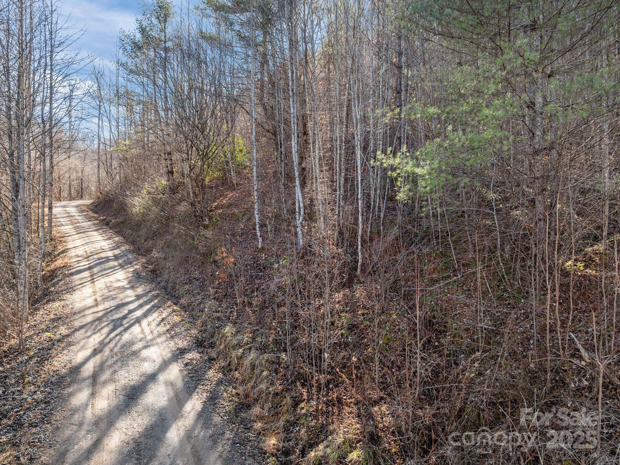 0 Wayward Cove Clyde, NC 28721 - Photo 15 of 18 a view of a backyard of a house