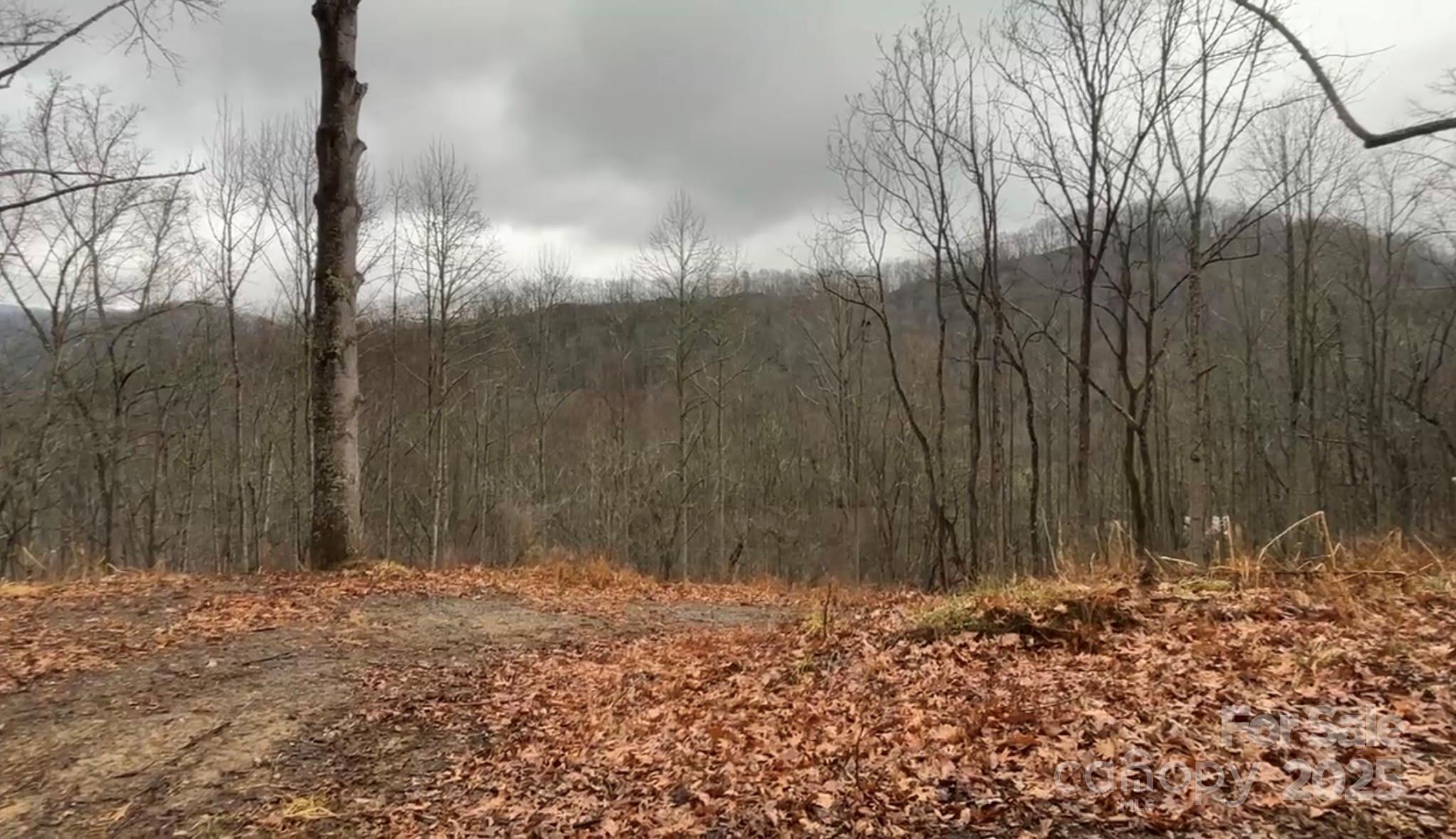 0 Wayward Cove Clyde, NC 28721 - Photo 16 of 18 a backyard of a house