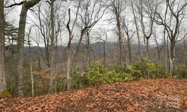 $395,000 | 0 Wayward Cove, Clyde, NC 28721